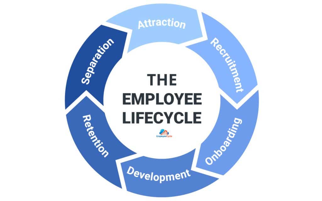 Employee Lifecycle diagram showing the six stages of the employee lifecycle management: Attraction, Recruitment, Onboarding, Development, Retention, and Separation