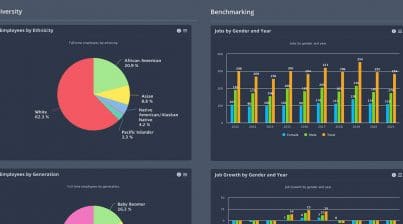 HR metrics and KPIs showing HR data charts in the Employee Cycle HR dashboard